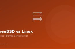 FreeBSD vs Linux: Sunucu Tarafında Gerçek Farklar